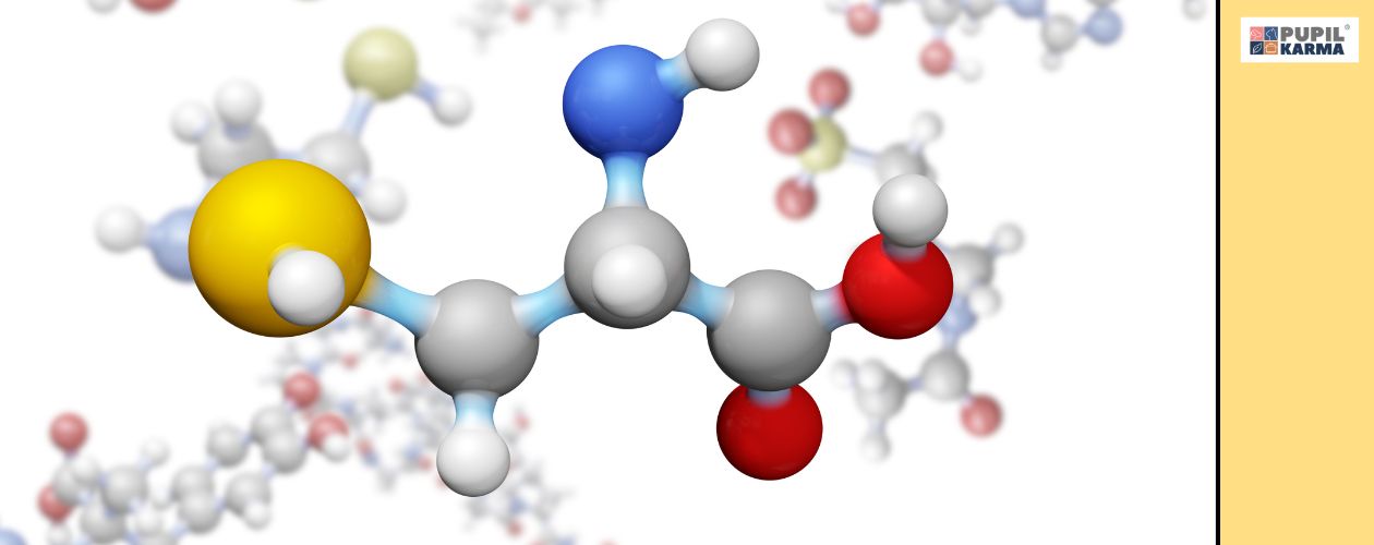 Białka zbudowane z 22 struktur - aminokwasów. Na białym tle model chemicznej struktury aminokwasów. Po prawej żółty pas i logo pupilkarma. 